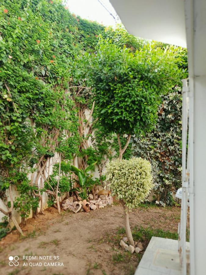 Etage De Villa Avec Jardin, Pres De L'Aireport Et Parking Prive Ariana Exteriér fotografie