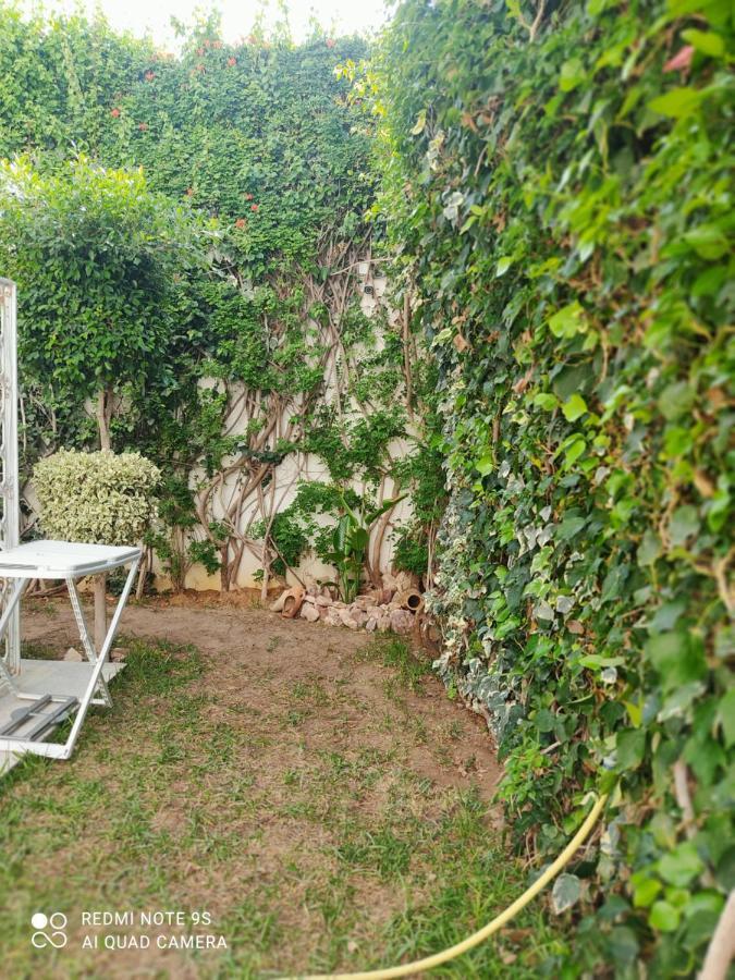 Etage De Villa Avec Jardin, Pres De L'Aireport Et Parking Prive Ariana Exteriér fotografie