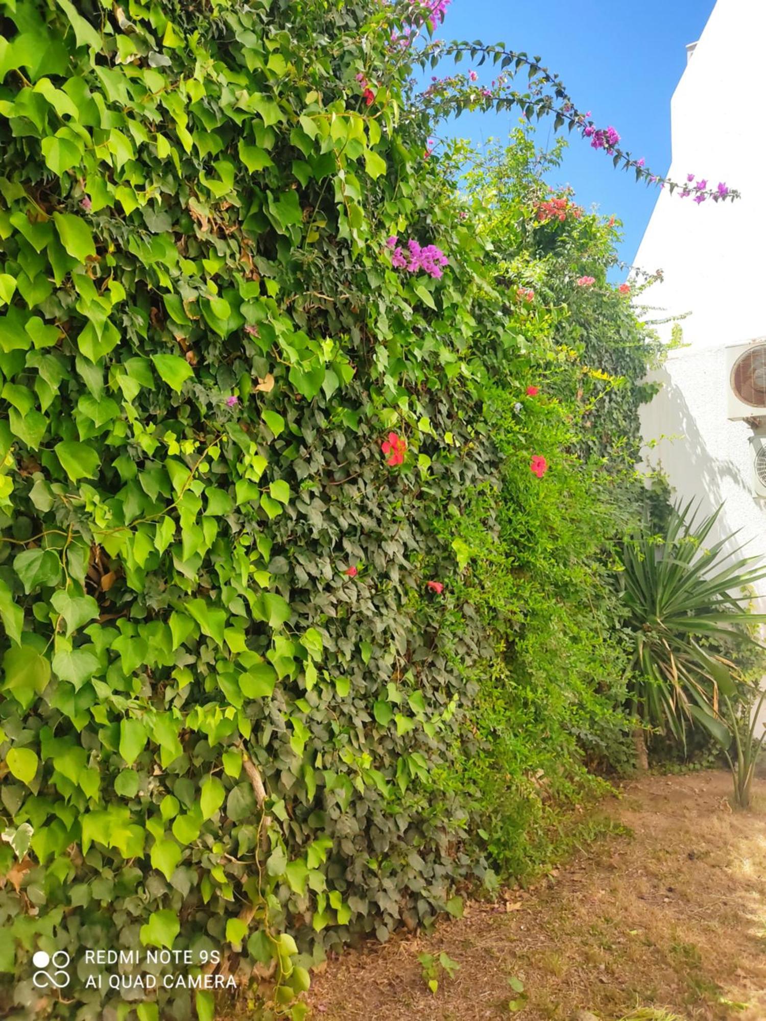 Etage De Villa Avec Jardin, Pres De L'Aireport Et Parking Prive Ariana Exteriér fotografie