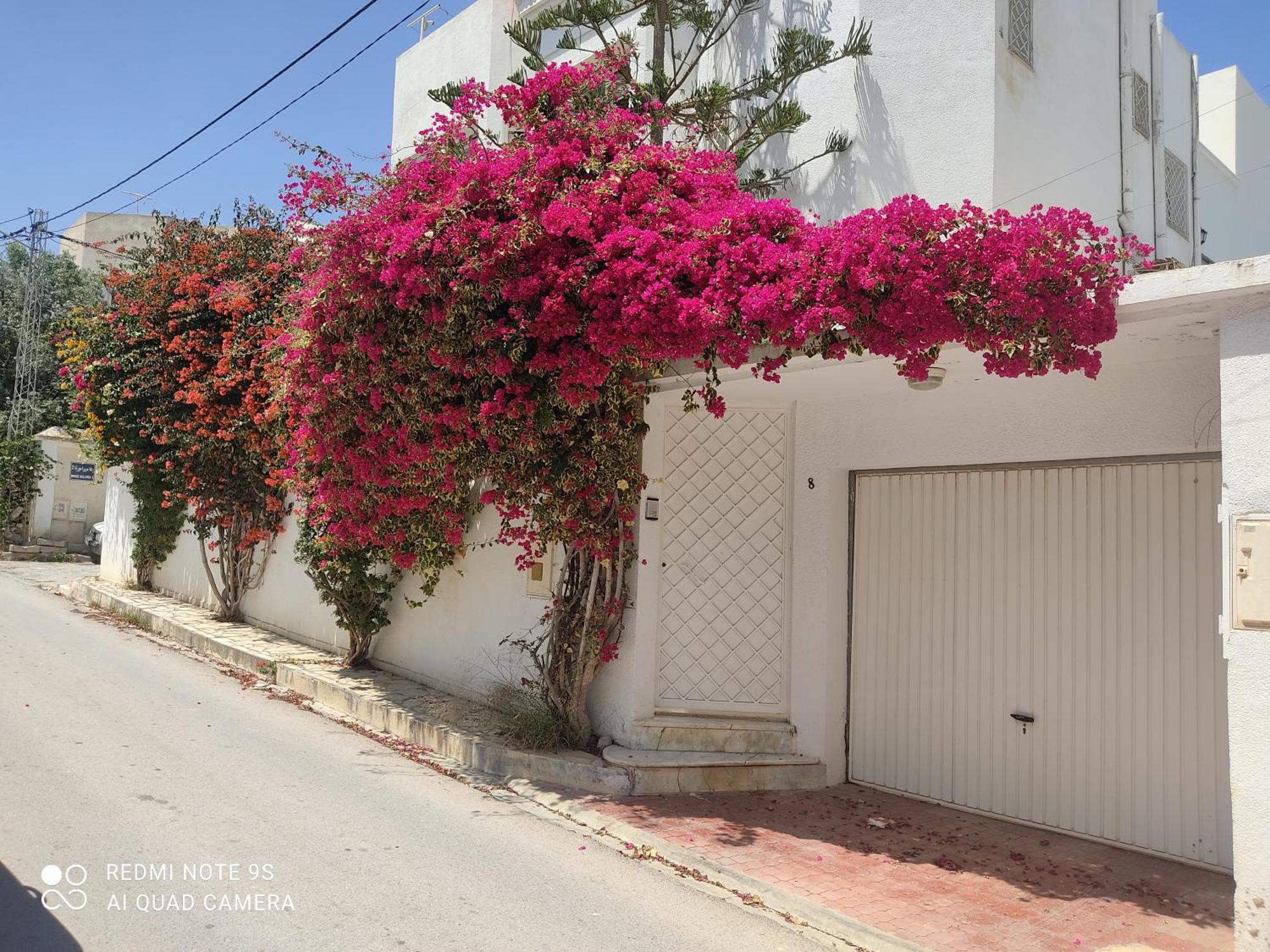 Etage De Villa Avec Jardin, Pres De L'Aireport Et Parking Prive Ariana Exteriér fotografie